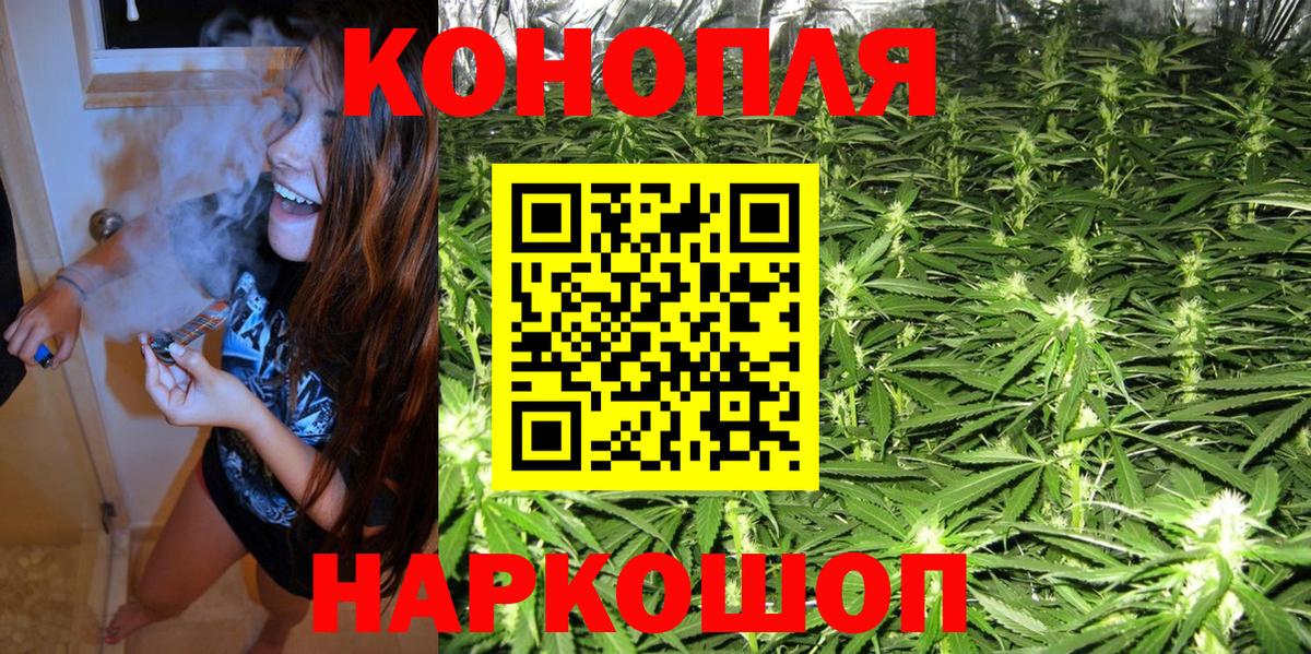 МАРИХУАНА сатива Дербент